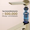 EMKE XF21  Wasserhahn Bad hoch, Waschtischarmatur, Mischbatterie Küche, Waschbecken Armaturen, Champagnergold